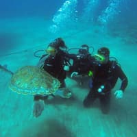 Los Cristianos: Guided Diving Class — gallery 4