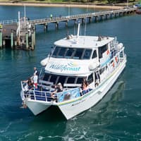 Seal Watching Afternoon Cruise at Phillip Island — gallery 2