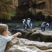 Bioparco - Zoo of Rome: Open Ticket — gallery 1