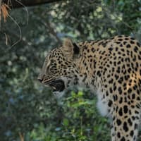 Lisbon Zoo: Fast Track Ticket, Lisbon Zoo, لیسبون و سینترا