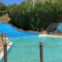 Aquafelix: Entry Ticket