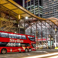 Bus Transfer: Melbourne Tullamarine Airport to/from Melbourne City by Skybus — gallery 1