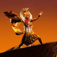 Performer in vibrant costume on stage during The Lion King musical