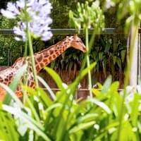 Jardim Zoológico Tickets