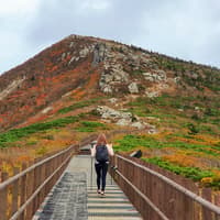 Nami Island & Mount Seorak Day Tour — gallery 4