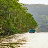 Daintree River Guided Crocodile & Wildlife Experience Cruise