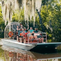 New Orleans: Small Airboat Ride — gallery 1