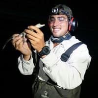 Gatorland Orlando: Gator Night Shine
