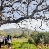 Half-Day Hiking at Arrábida Natural Park