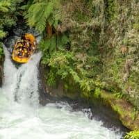 Kaituna River: Grade 5 White Water Rafting