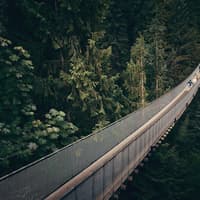 Vancouver: Scenic Twilight Tour with Capilano Park and Grouse Mountain — gallery 1