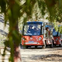 The Explorer - Cranbourne Gardens