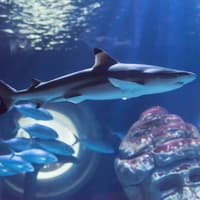 SEA LIFE Paris Aquarium