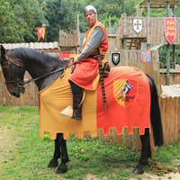 Sherwood Parc: Entry Ticket