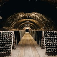 Codorníu Winery: Guided Tour + La Torre Menu Lunch + Cava Tasting