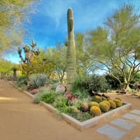 Springs Preserve & Nevada State Museum — gallery 2
