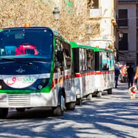 City Tour: Granada Hop-on Hop-off Train Tour — gallery 1