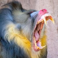 Phoenix Zoo: Entry Ticket — gallery 3