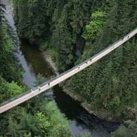 Grouse Mountain & Capilano Suspension Bridge Park: Guided Tour — gallery 2