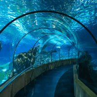 Barcelona Aquarium: Flexi-Ticket — gallery 1