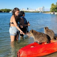 Miami: Nature & Island Exploration on SUP/Kayak