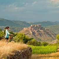 Castle of Cardona: Guided Visit