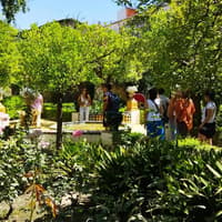 Seville: Las Setas, La Macarena, and Dueñas Palace Guided Tour — gallery 2