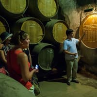 Small Group Wine Tour in Arrábida from Lisbon