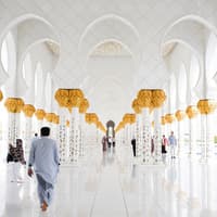 Full-Day Guided Tour of Abu Dhabi Mosque & Warner Bros. from Dubai — gallery 3