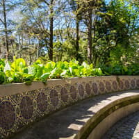 Pena Palace + Quinta da Regaleira — gallery 2