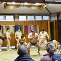 Premium Professional Sumo Morning Practice Experience in Asakusa