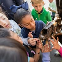 La Brea Tar Pits Museum — gallery 1