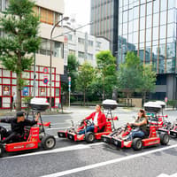 Akihabara: 1-Hour Street Go-Karting Experience