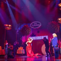 Death Becomes Her tickets at Lunt-Fontanne Theatre, New York, photo 4