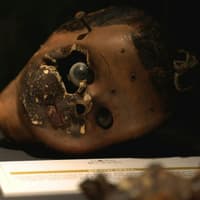 Dark Secrets - The Esoteric Exhibition London: Entry Ticket — gallery 1