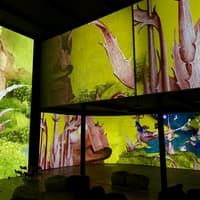 Hieronymus Bosch - Secret Signs: Entry Ticket + VR Experience