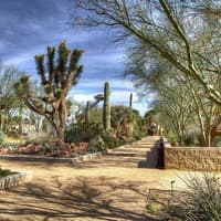 Springs Preserve & Nevada State Museum — gallery 1