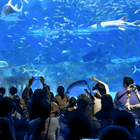 SEA LIFE COEX, Seoul Aquarium Tickets — gallery 3