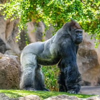 Loro Parque Entry Tickets — gallery 1
