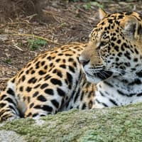 Parrot World: Day Ticket
