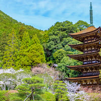 7 Day JR Setouchi Area pass — gallery 2