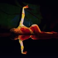 Crazy Horse Paris: Show Only — gallery 1