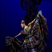 The Folkloric Ballet of Mexico (VIP Tickets + Transportation Included) — gallery 2