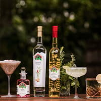 The Tastes of Tamborine Mountain — gallery 2