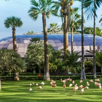 Loro Parque Entry Tickets — gallery 2