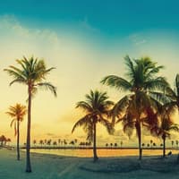 Big Bus Miami: Sightseeing Tour by Night