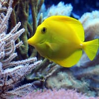SEA LIFE Paris Aquarium