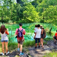 From Zadar: Full-Day Guided Tour of Plitvice Lakes National Park — gallery 5