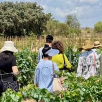 Penedès: Half-Day Guided Tour from Barcelona + Brunch + Wine Tasting — gallery 3