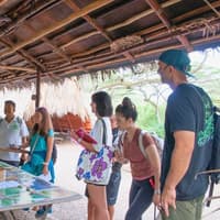 Waimea Valley: Guided Waterfall Hike & Swim Tour from Waikiki — gallery 1